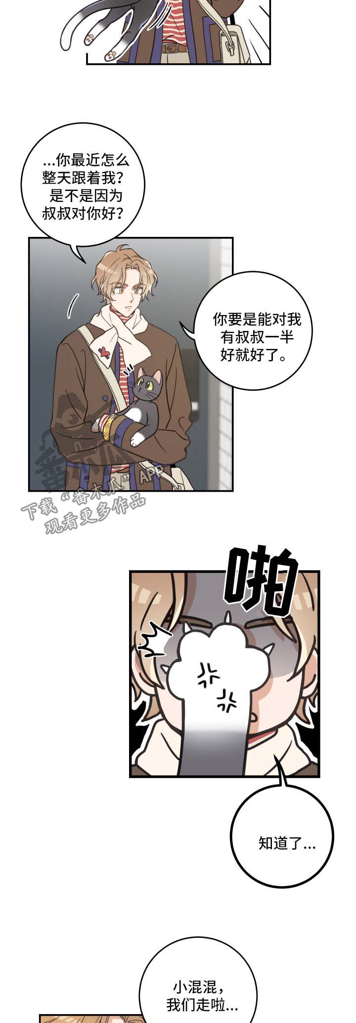 《亲爱的喵君》漫画最新章节第46章：不能一起免费下拉式在线观看章节第【12】张图片