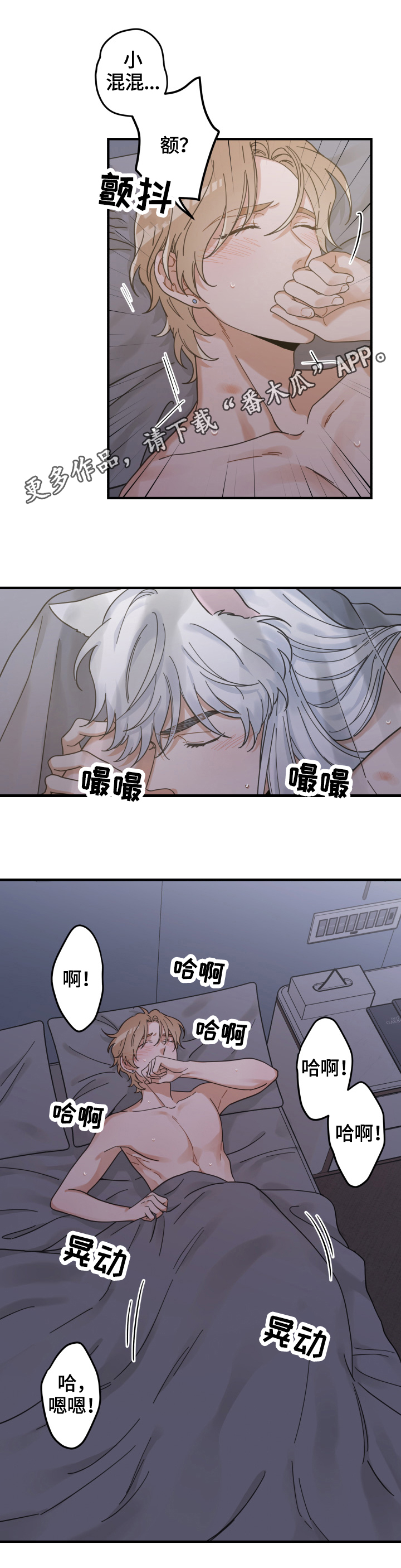 《亲爱的喵君》漫画最新章节第52章：办法免费下拉式在线观看章节第【11】张图片