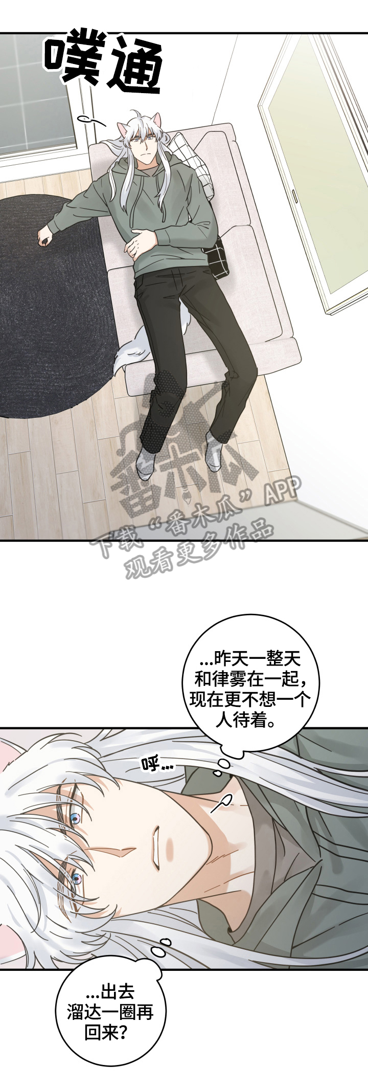 《亲爱的喵君》漫画最新章节第53章：意外免费下拉式在线观看章节第【12】张图片