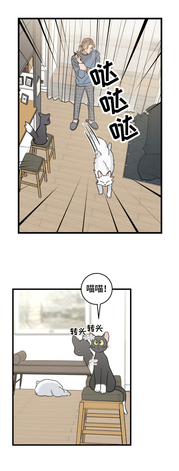 《亲爱的喵君》漫画最新章节第62章：拒绝免费下拉式在线观看章节第【2】张图片