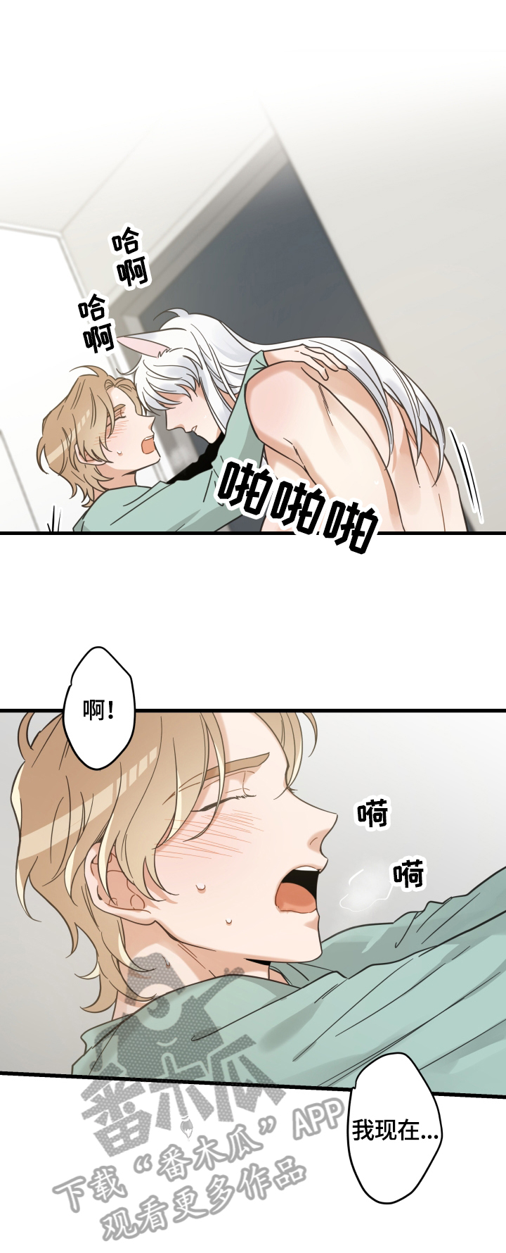 《亲爱的喵君》漫画最新章节第66章：回忆免费下拉式在线观看章节第【10】张图片