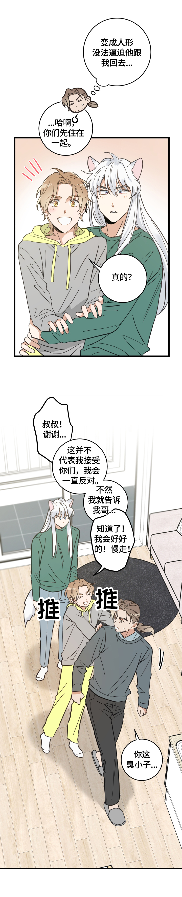 《亲爱的喵君》漫画最新章节第67章：同意免费下拉式在线观看章节第【4】张图片