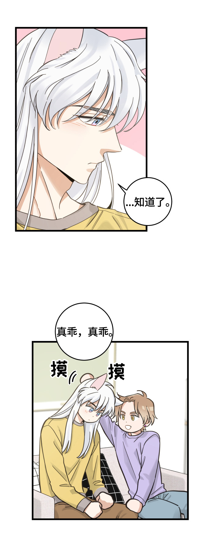 《亲爱的喵君》漫画最新章节第71章：原谅免费下拉式在线观看章节第【9】张图片