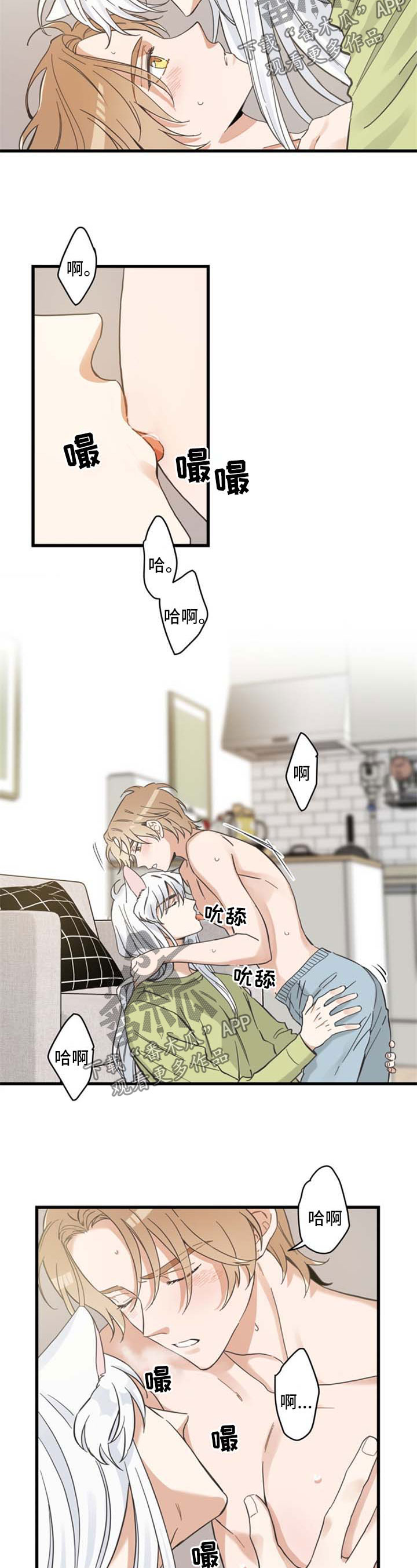 《亲爱的喵君》漫画最新章节第78章：做你想做的免费下拉式在线观看章节第【8】张图片