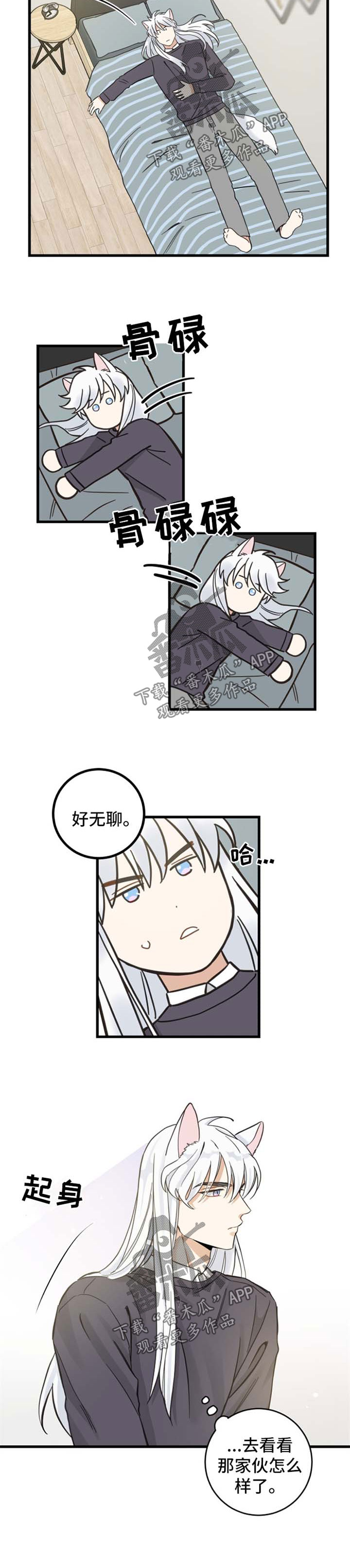 《亲爱的喵君》漫画最新章节第79章：串门免费下拉式在线观看章节第【5】张图片