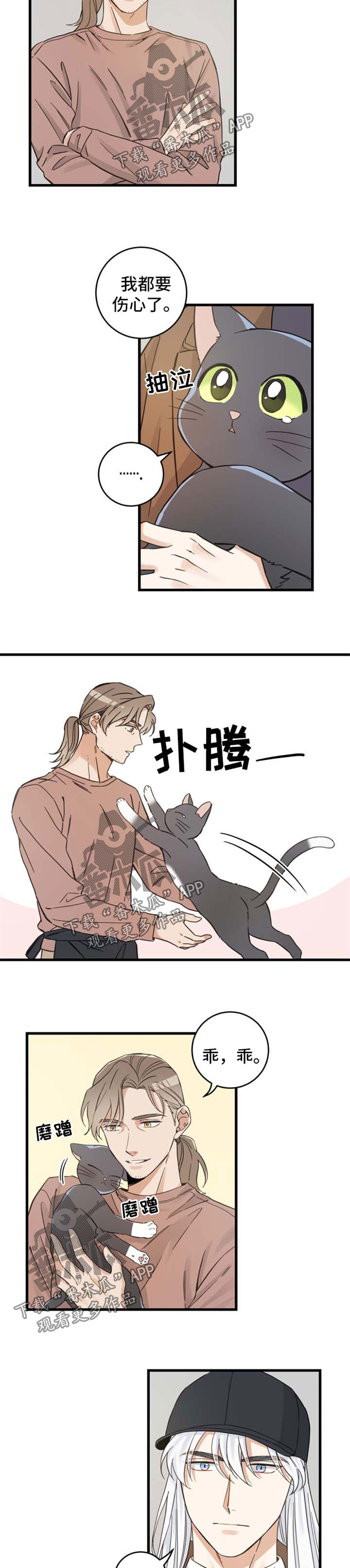 《亲爱的喵君》漫画最新章节第79章：串门免费下拉式在线观看章节第【2】张图片