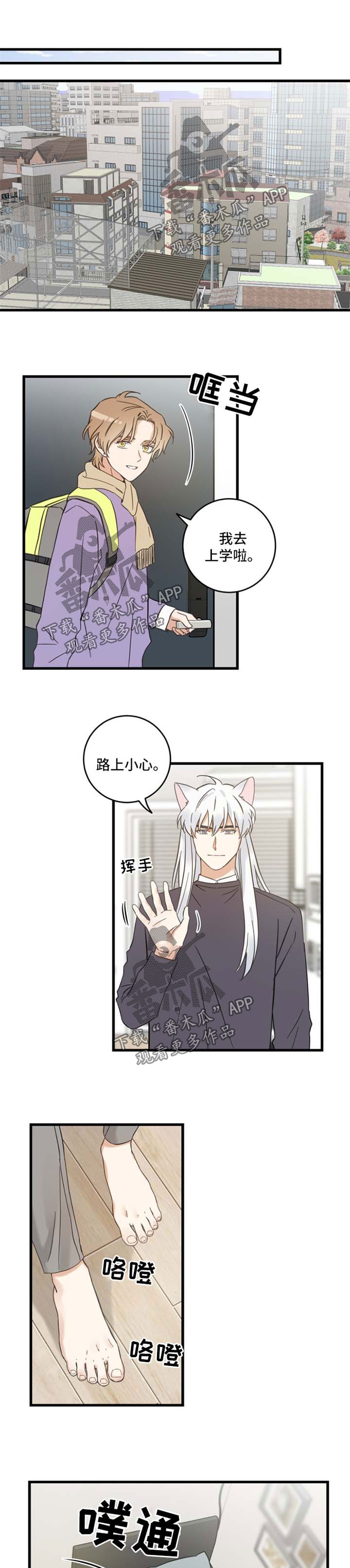 《亲爱的喵君》漫画最新章节第79章：串门免费下拉式在线观看章节第【6】张图片