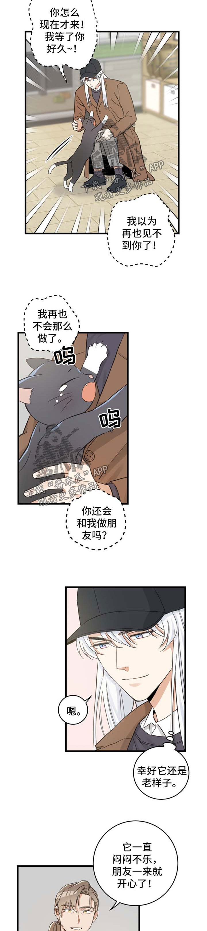 《亲爱的喵君》漫画最新章节第79章：串门免费下拉式在线观看章节第【3】张图片