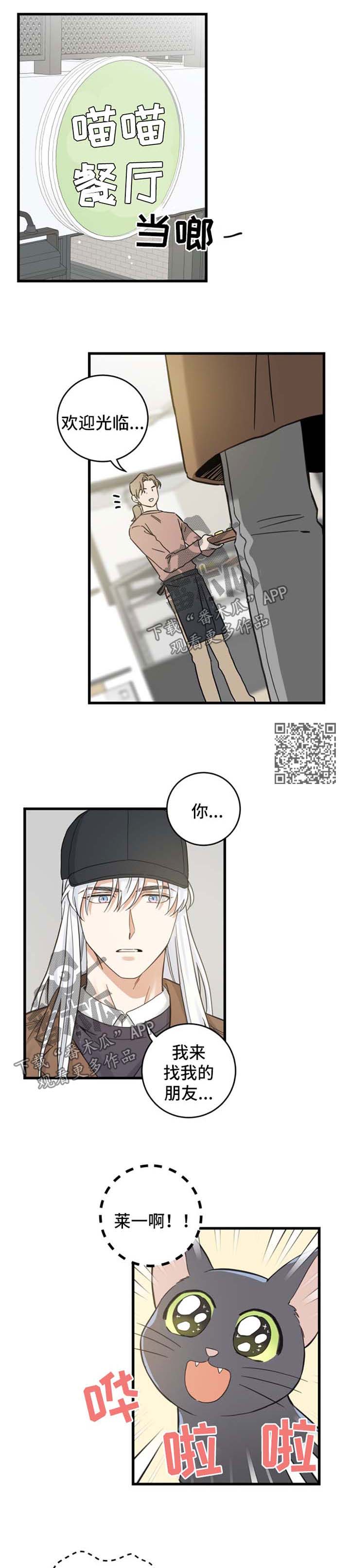 《亲爱的喵君》漫画最新章节第79章：串门免费下拉式在线观看章节第【4】张图片