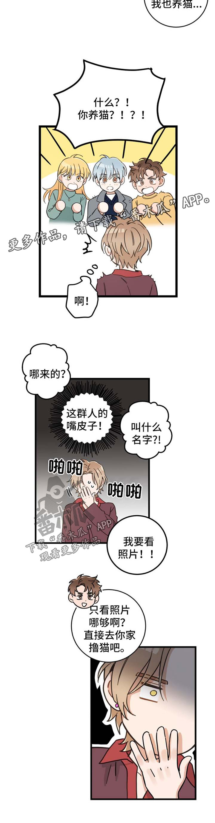 《亲爱的喵君》漫画最新章节第80章：宠物心得免费下拉式在线观看章节第【2】张图片