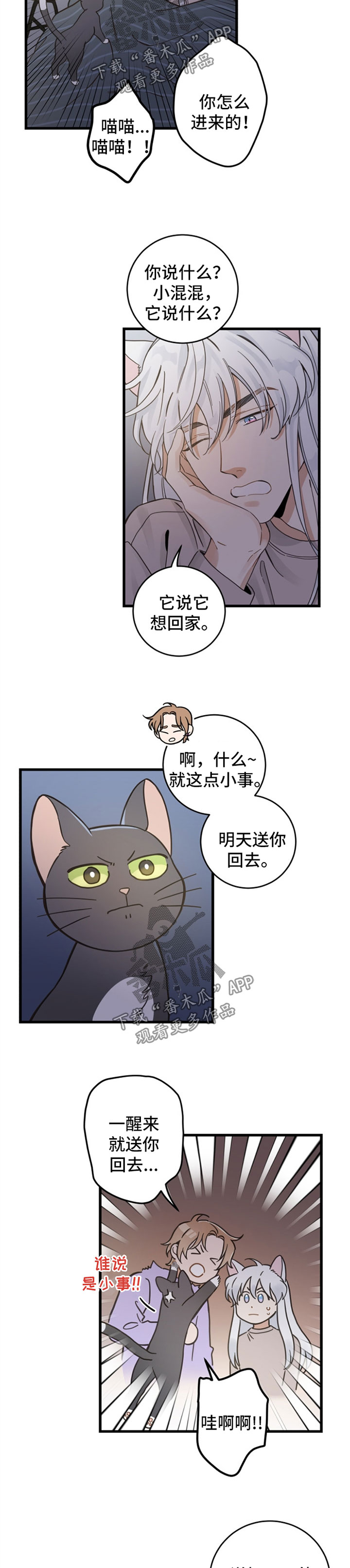 《亲爱的喵君》漫画最新章节第82章：想要回家免费下拉式在线观看章节第【4】张图片