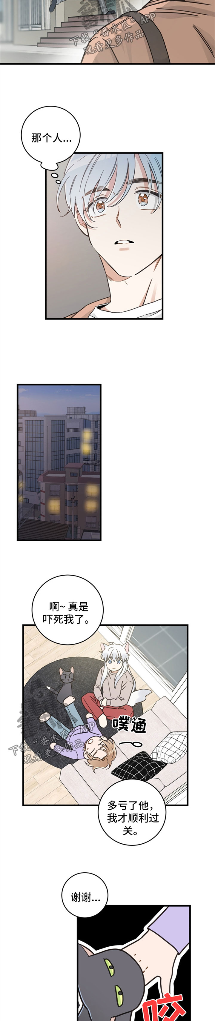 《亲爱的喵君》漫画最新章节第82章：想要回家免费下拉式在线观看章节第【9】张图片