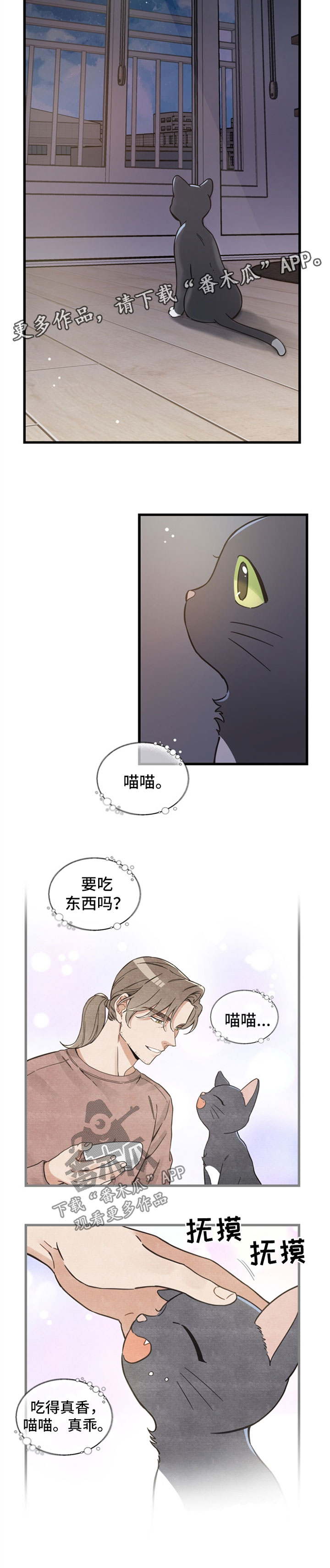 《亲爱的喵君》漫画最新章节第82章：想要回家免费下拉式在线观看章节第【6】张图片