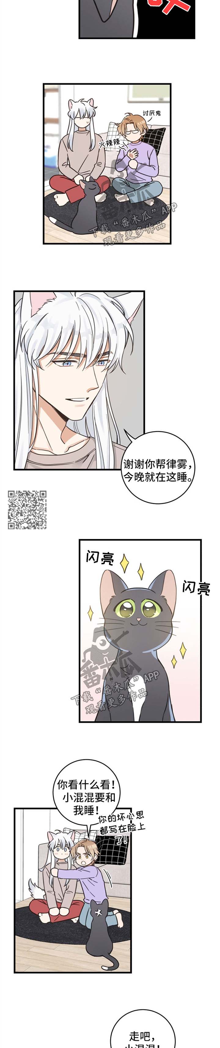 《亲爱的喵君》漫画最新章节第82章：想要回家免费下拉式在线观看章节第【8】张图片