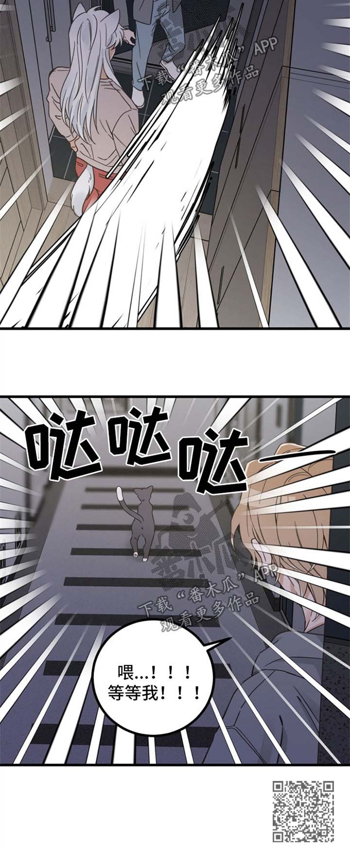 《亲爱的喵君》漫画最新章节第82章：想要回家免费下拉式在线观看章节第【1】张图片