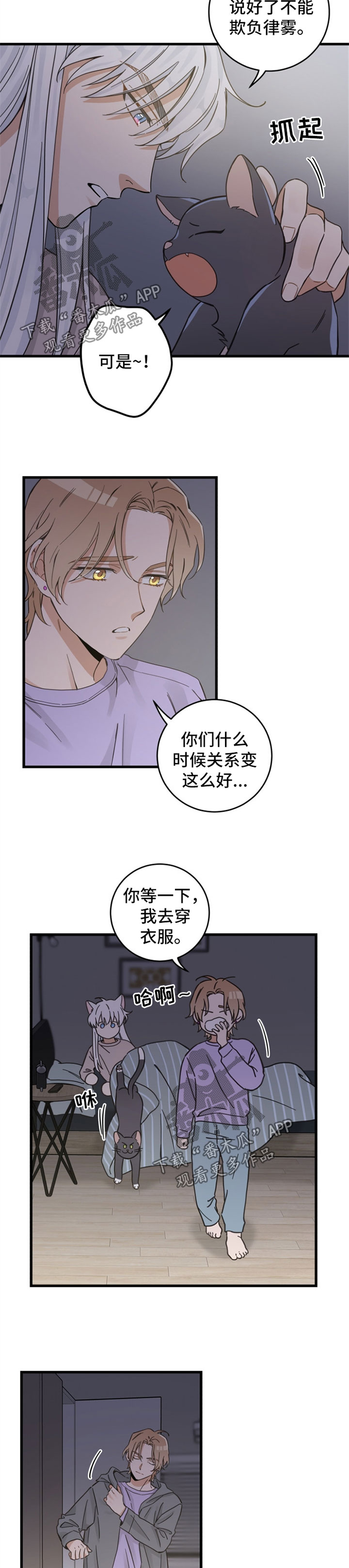 《亲爱的喵君》漫画最新章节第82章：想要回家免费下拉式在线观看章节第【3】张图片