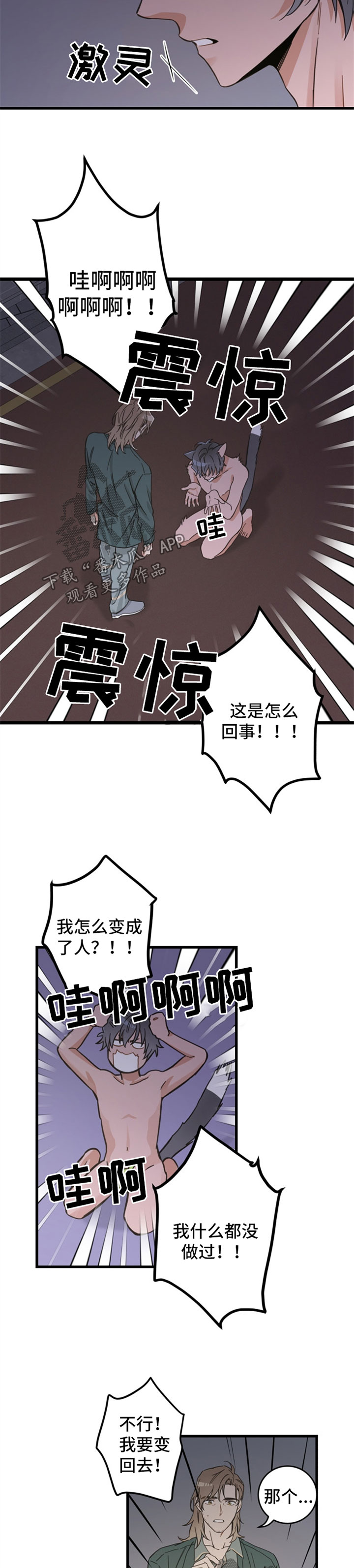 《亲爱的喵君》漫画最新章节第84章：变人免费下拉式在线观看章节第【3】张图片