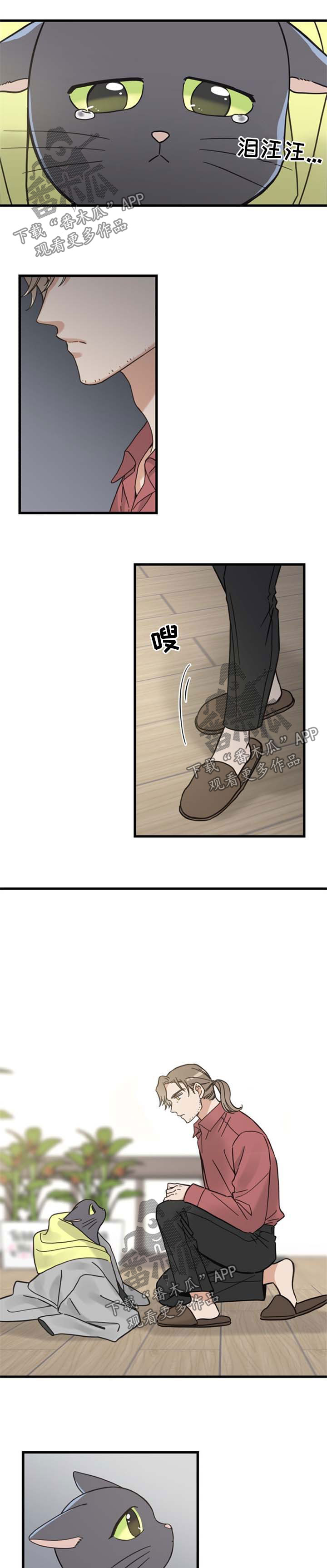 《亲爱的喵君》漫画最新章节第87章：不放弃免费下拉式在线观看章节第【4】张图片