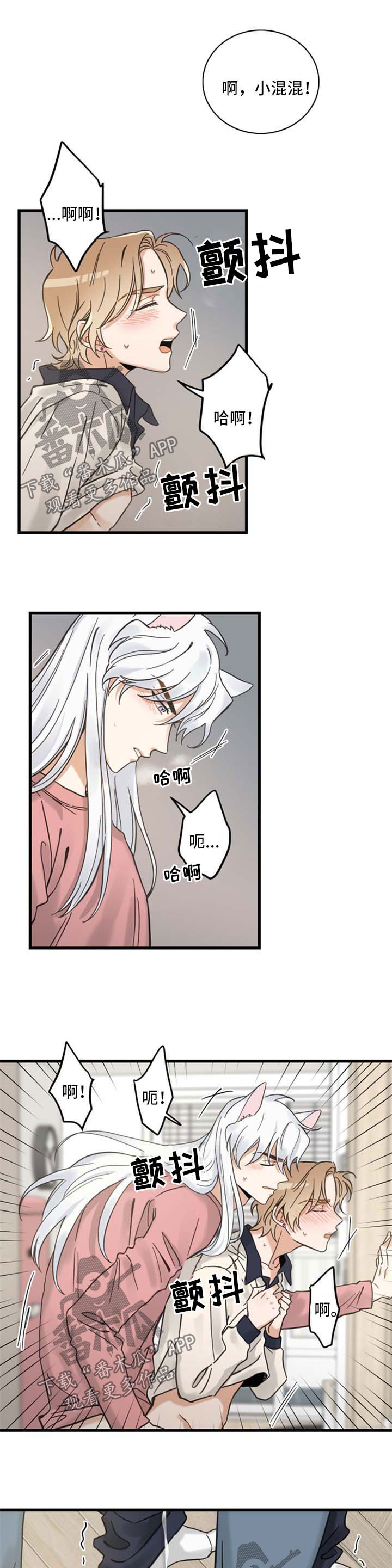 《亲爱的喵君》漫画最新章节第89章：闹别扭免费下拉式在线观看章节第【2】张图片