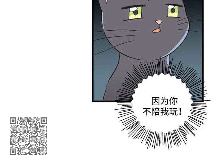 《亲爱的喵君》漫画最新章节第94章：忧愁免费下拉式在线观看章节第【1】张图片