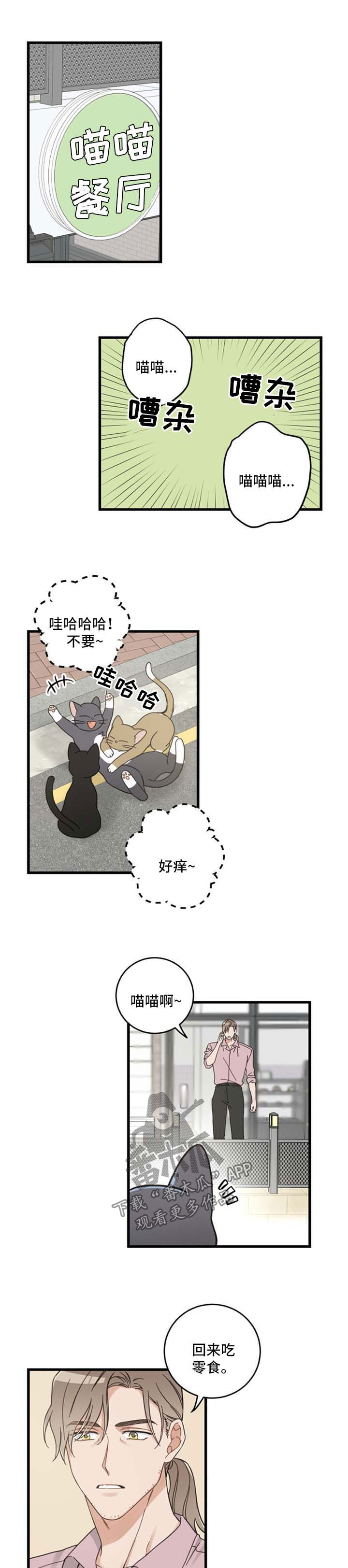 《亲爱的喵君》漫画最新章节第94章：忧愁免费下拉式在线观看章节第【3】张图片