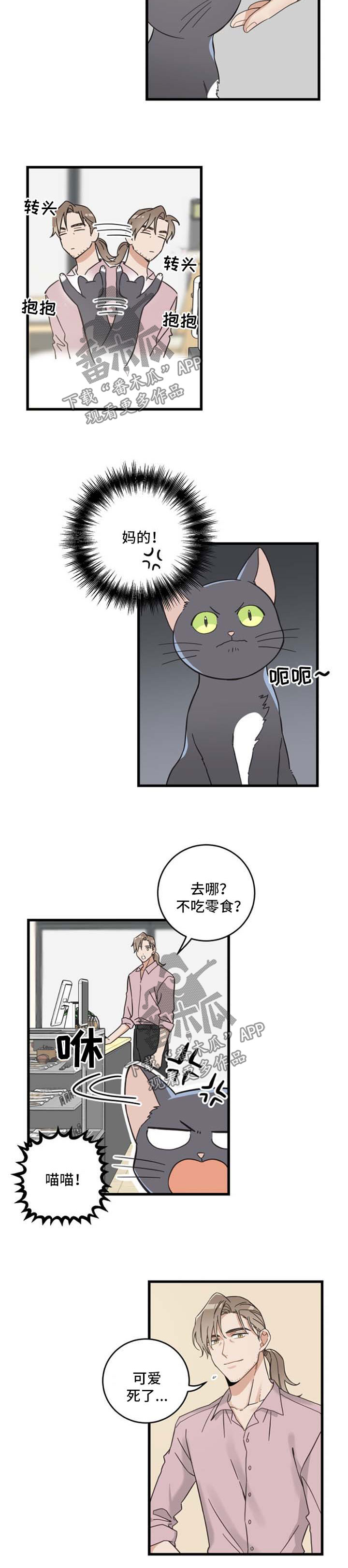 《亲爱的喵君》漫画最新章节第95章：不行免费下拉式在线观看章节第【7】张图片