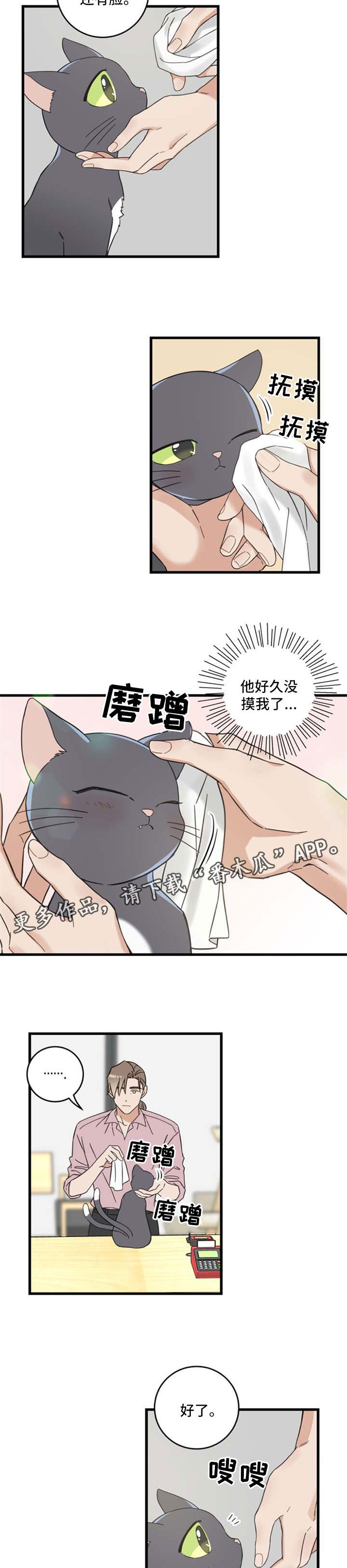 《亲爱的喵君》漫画最新章节第95章：不行免费下拉式在线观看章节第【8】张图片