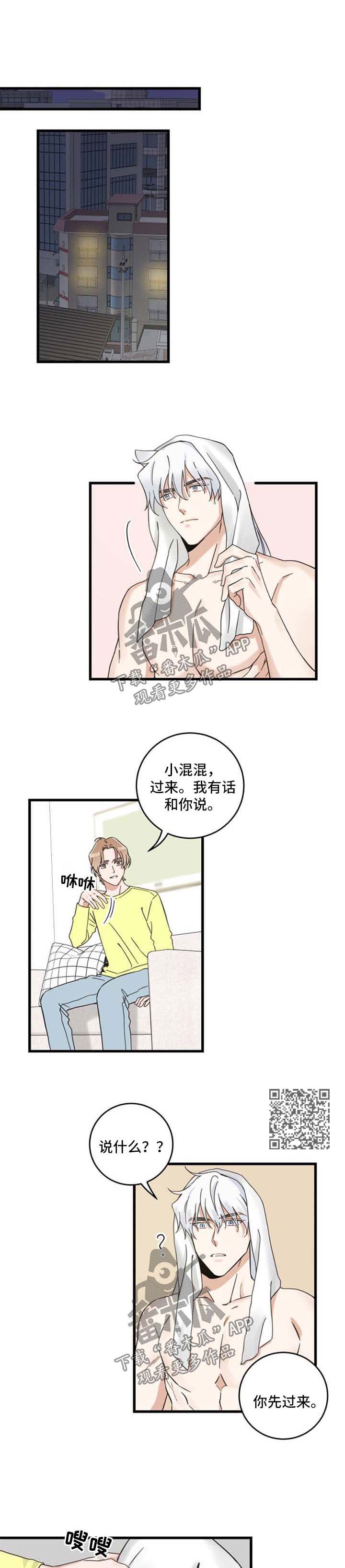 《亲爱的喵君》漫画最新章节第95章：不行免费下拉式在线观看章节第【5】张图片