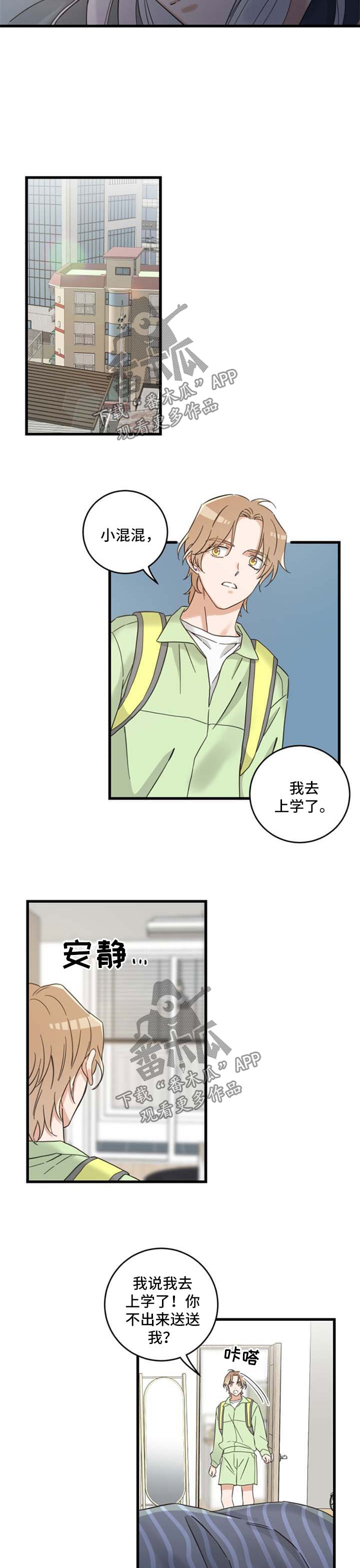 《亲爱的喵君》漫画最新章节第96章：闹别扭免费下拉式在线观看章节第【6】张图片