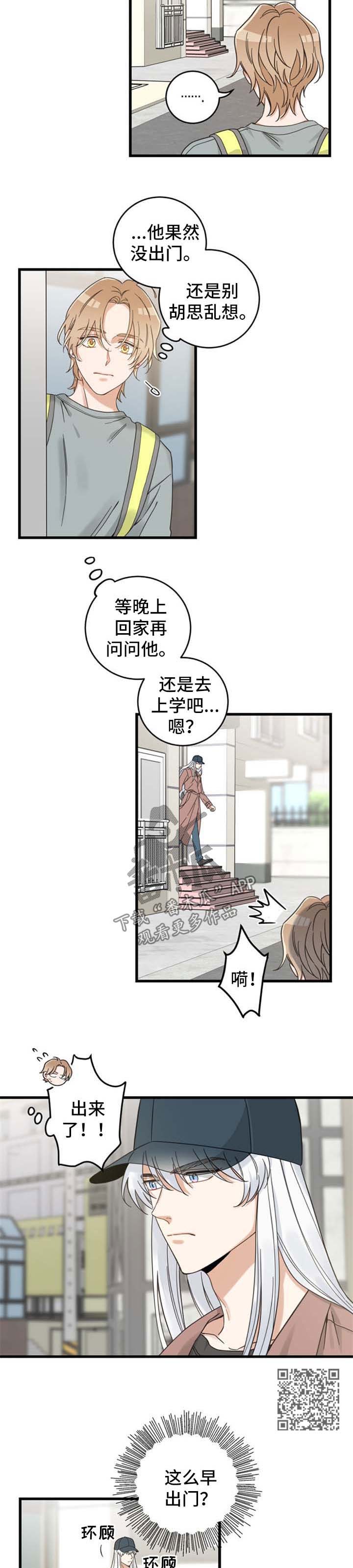 《亲爱的喵君》漫画最新章节第98章：跟踪免费下拉式在线观看章节第【6】张图片