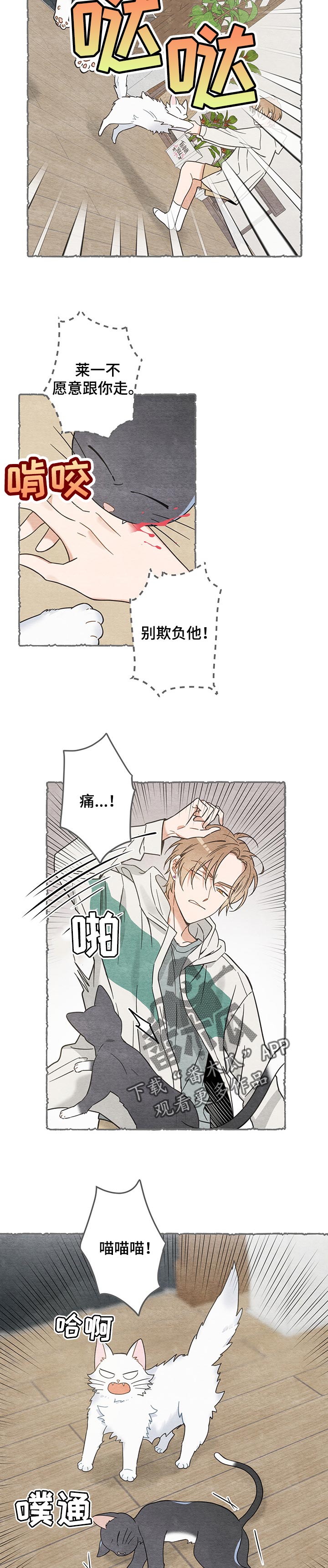 《亲爱的喵君》漫画最新章节第102章：撒气免费下拉式在线观看章节第【4】张图片