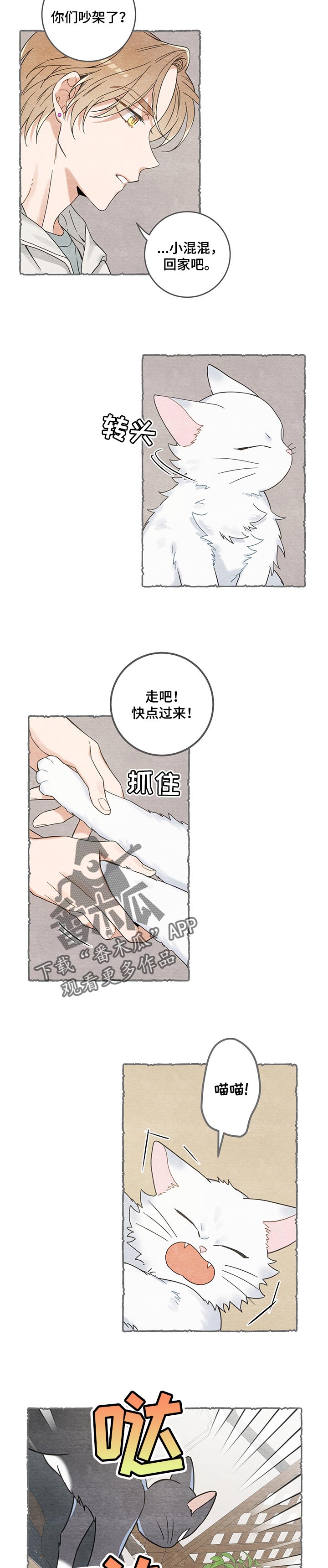 《亲爱的喵君》漫画最新章节第102章：撒气免费下拉式在线观看章节第【5】张图片