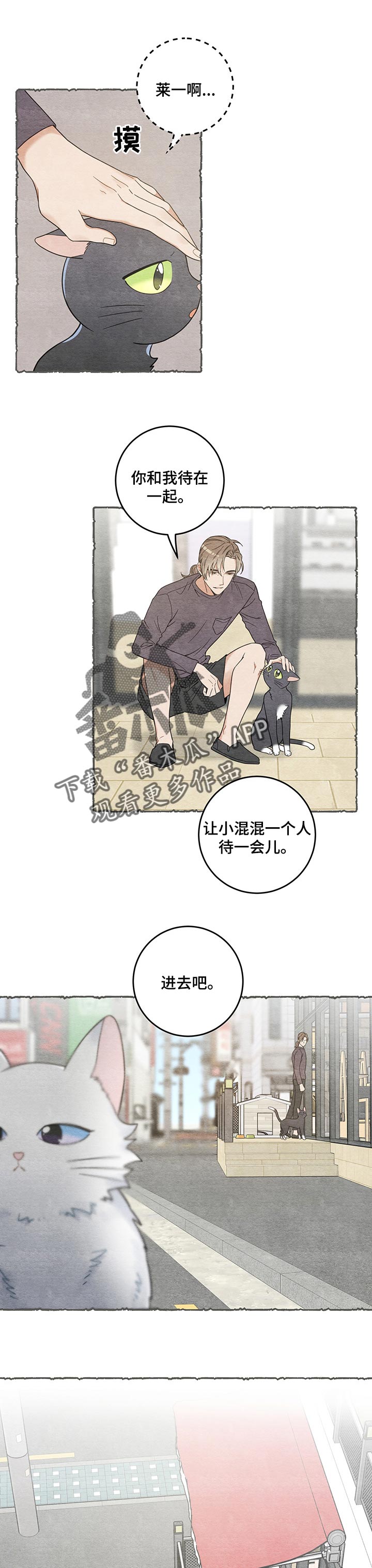 《亲爱的喵君》漫画最新章节第104章：失踪了免费下拉式在线观看章节第【10】张图片