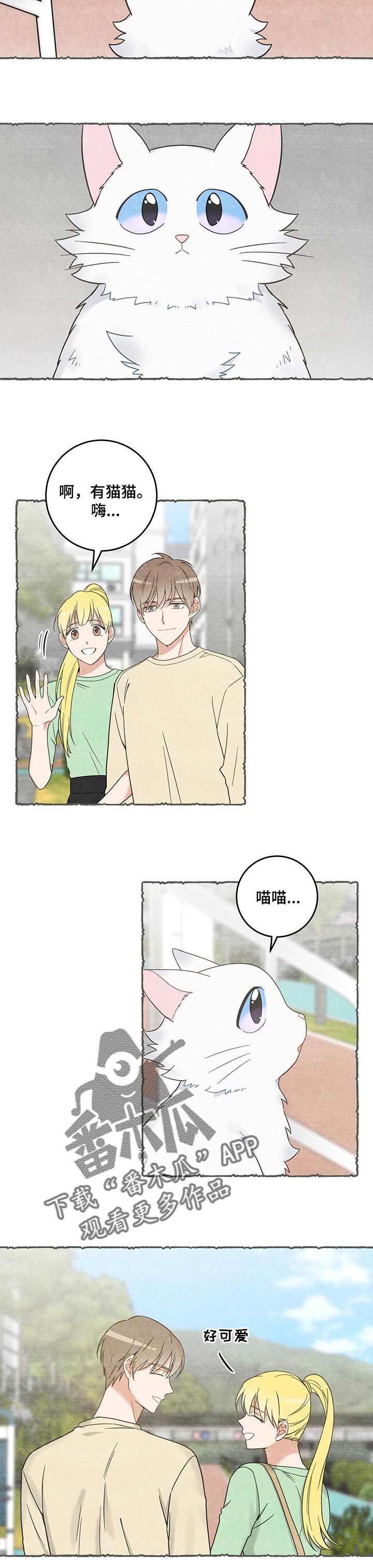 《亲爱的喵君》漫画最新章节第104章：失踪了免费下拉式在线观看章节第【8】张图片