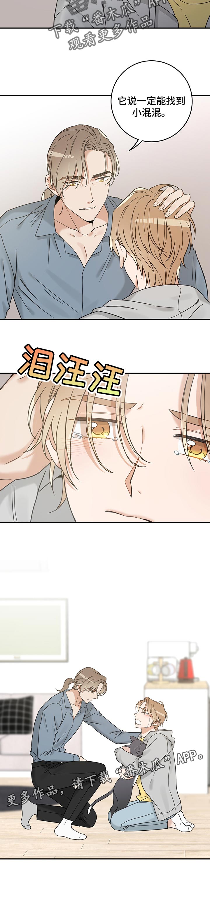 《亲爱的喵君》漫画最新章节第105章：一定能找到免费下拉式在线观看章节第【1】张图片