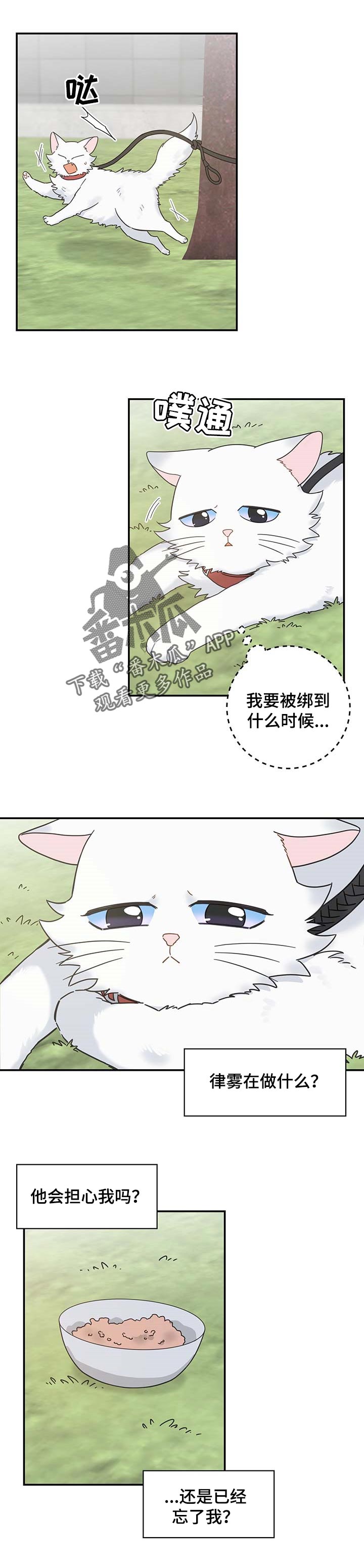 《亲爱的喵君》漫画最新章节第110章：找到了免费下拉式在线观看章节第【6】张图片