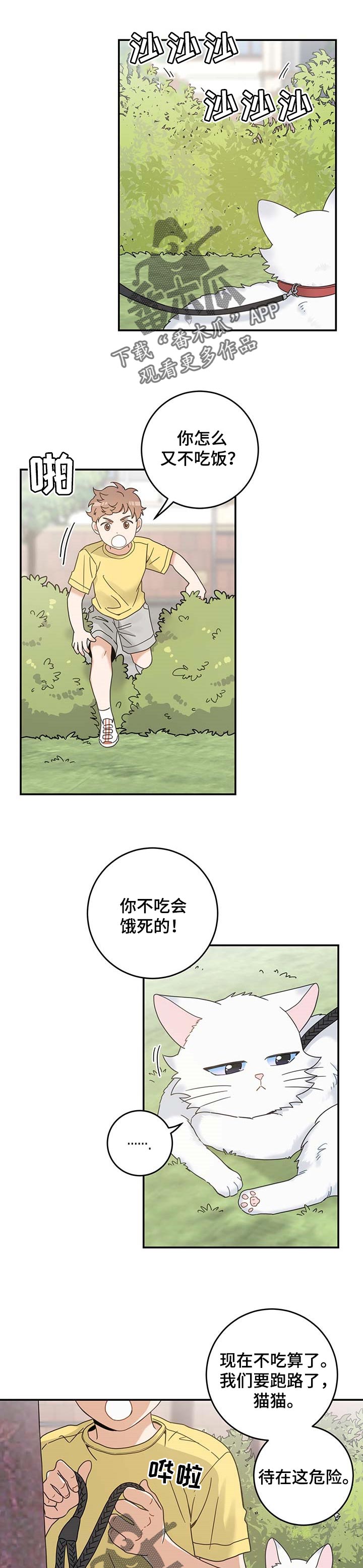 《亲爱的喵君》漫画最新章节第110章：找到了免费下拉式在线观看章节第【5】张图片