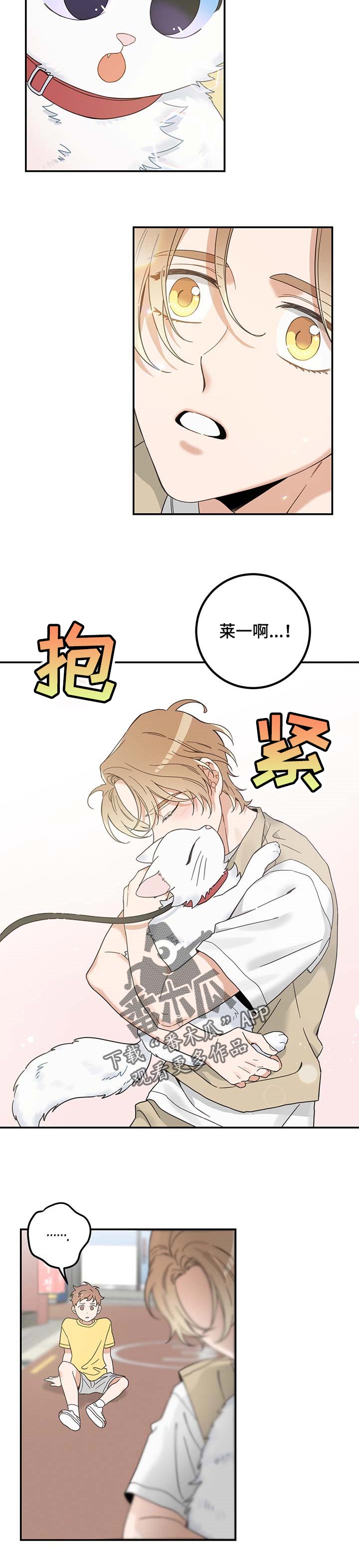 《亲爱的喵君》漫画最新章节第111章：重逢免费下拉式在线观看章节第【3】张图片