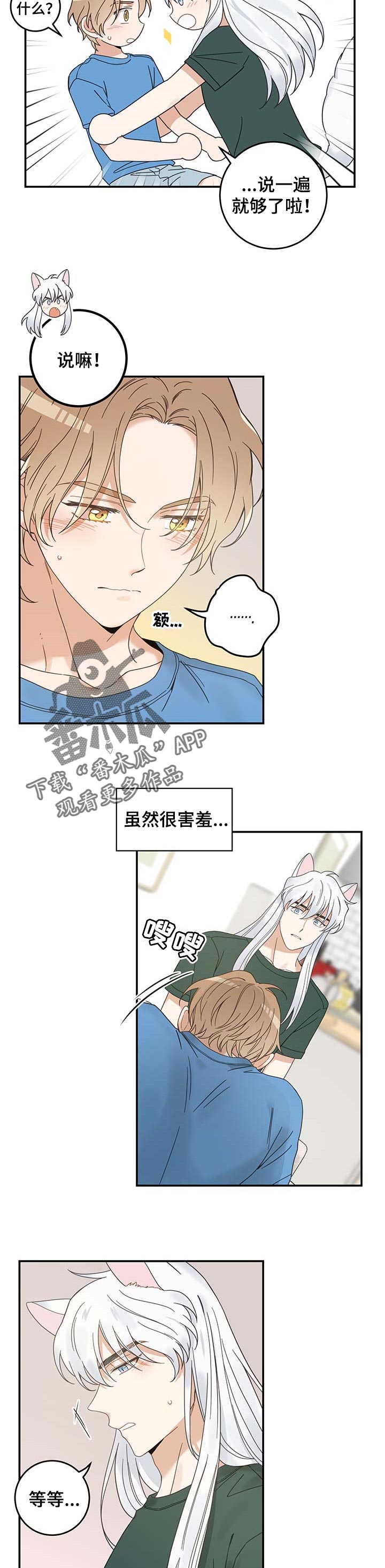 《亲爱的喵君》漫画最新章节第113章：只为了你免费下拉式在线观看章节第【3】张图片