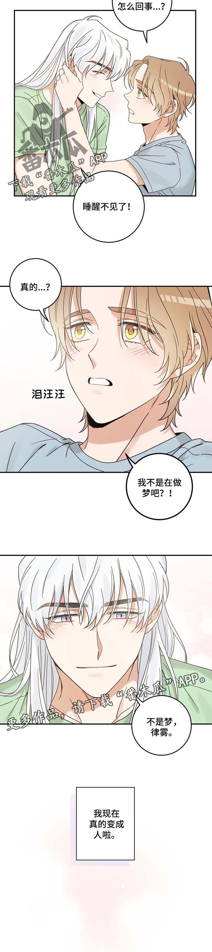 《亲爱的喵君》漫画最新章节第115章：变成人了免费下拉式在线观看章节第【1】张图片