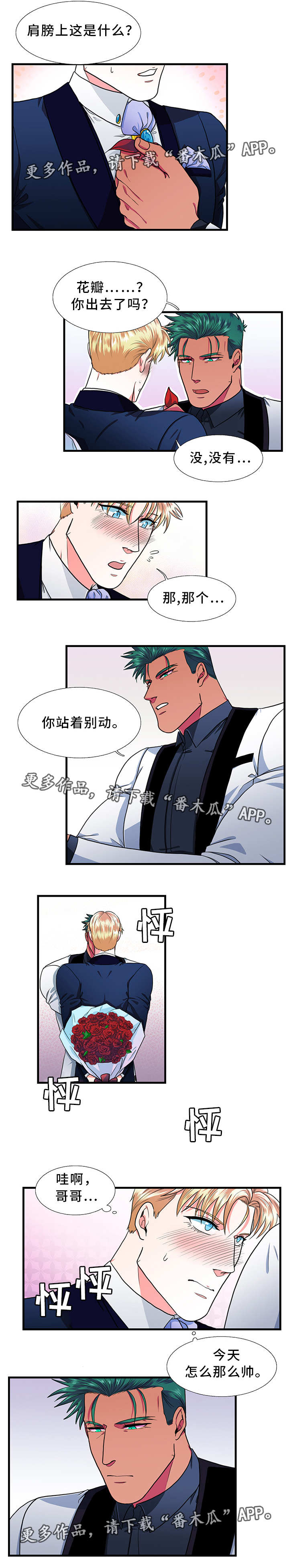 《贴身防护》漫画最新章节第23章：告白免费下拉式在线观看章节第【5】张图片