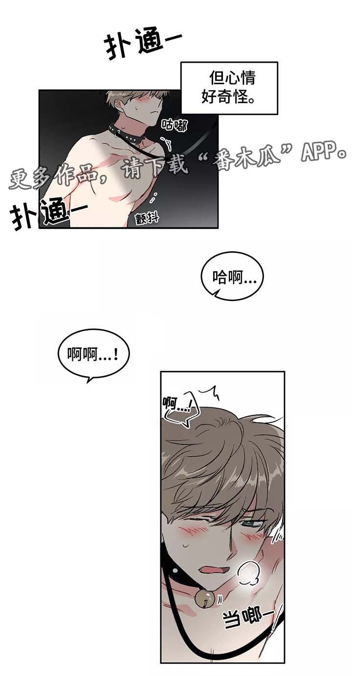 《教授的游戏》漫画最新章节第28章：计划免费下拉式在线观看章节第【5】张图片