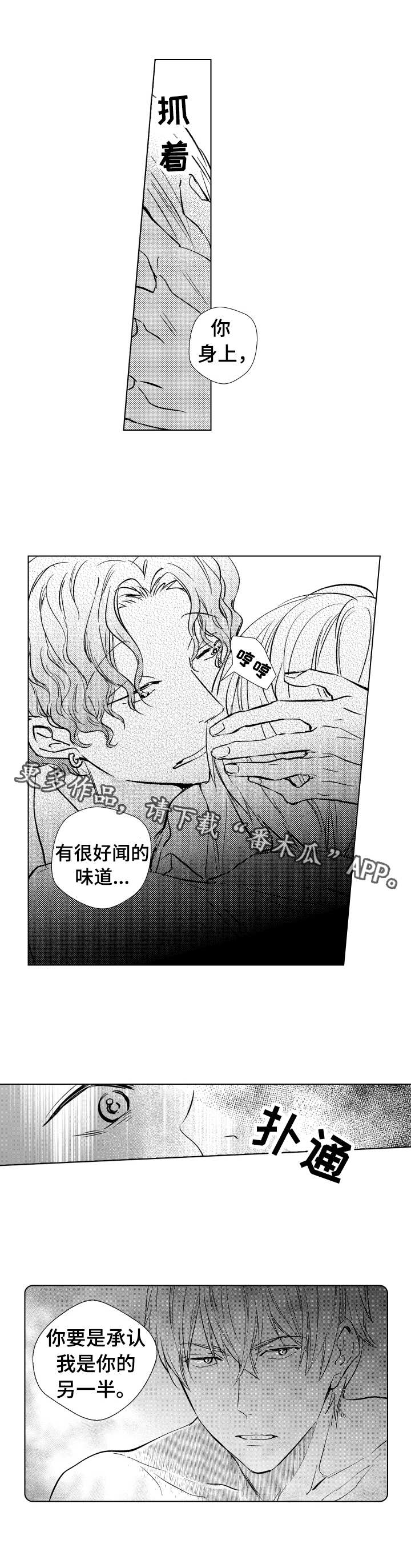 《混入其中》漫画最新章节第14章：上镜免费下拉式在线观看章节第【4】张图片