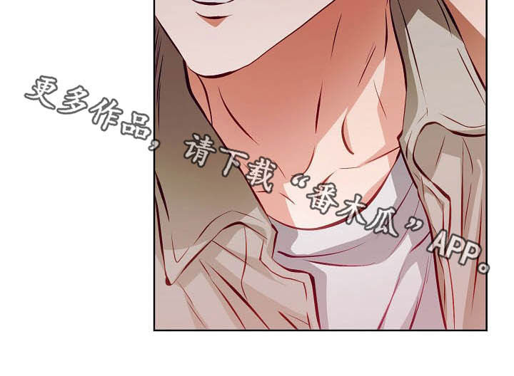 《完美契合》漫画最新章节第19章：计划开始免费下拉式在线观看章节第【1】张图片