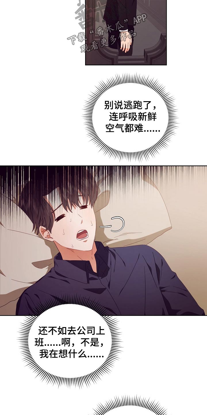 《完美契合》漫画最新章节第29章：囚禁免费下拉式在线观看章节第【8】张图片