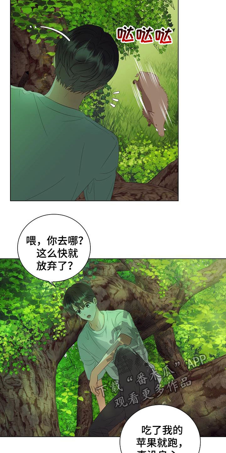 《完美契合》漫画最新章节第49章：野猪免费下拉式在线观看章节第【5】张图片