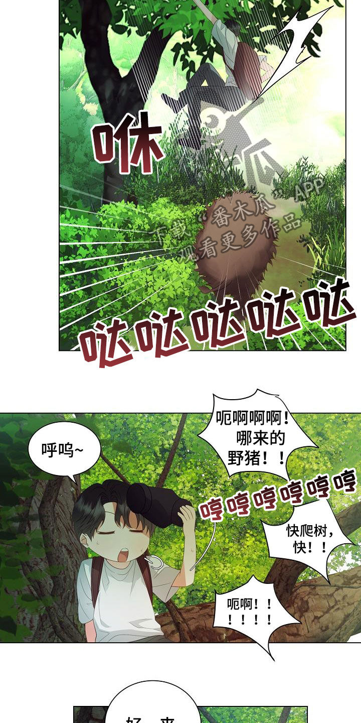 《完美契合》漫画最新章节第50章：逃脱免费下拉式在线观看章节第【7】张图片