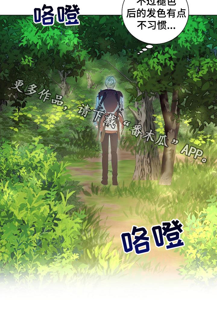 《完美契合》漫画最新章节第52章：改头换面免费下拉式在线观看章节第【1】张图片