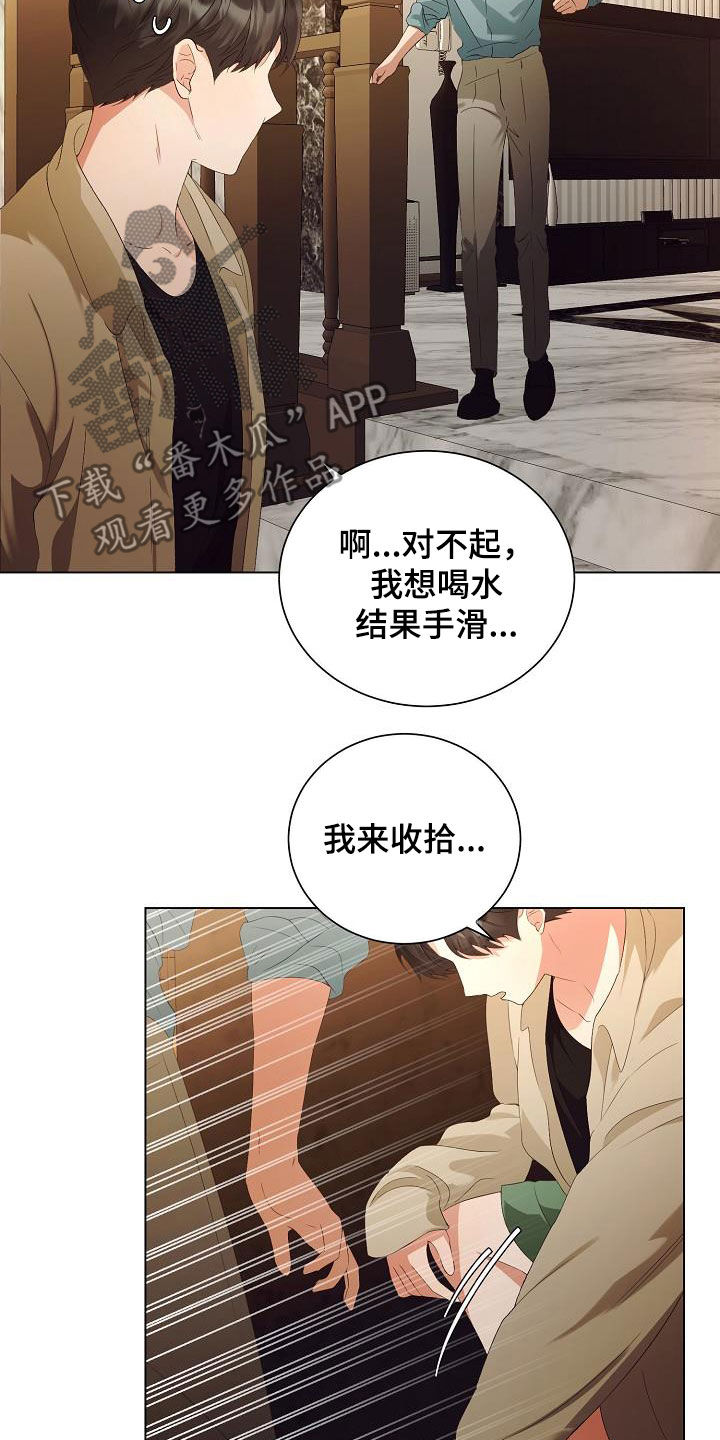 《完美契合》漫画最新章节第63章：把孩子打掉免费下拉式在线观看章节第【20】张图片