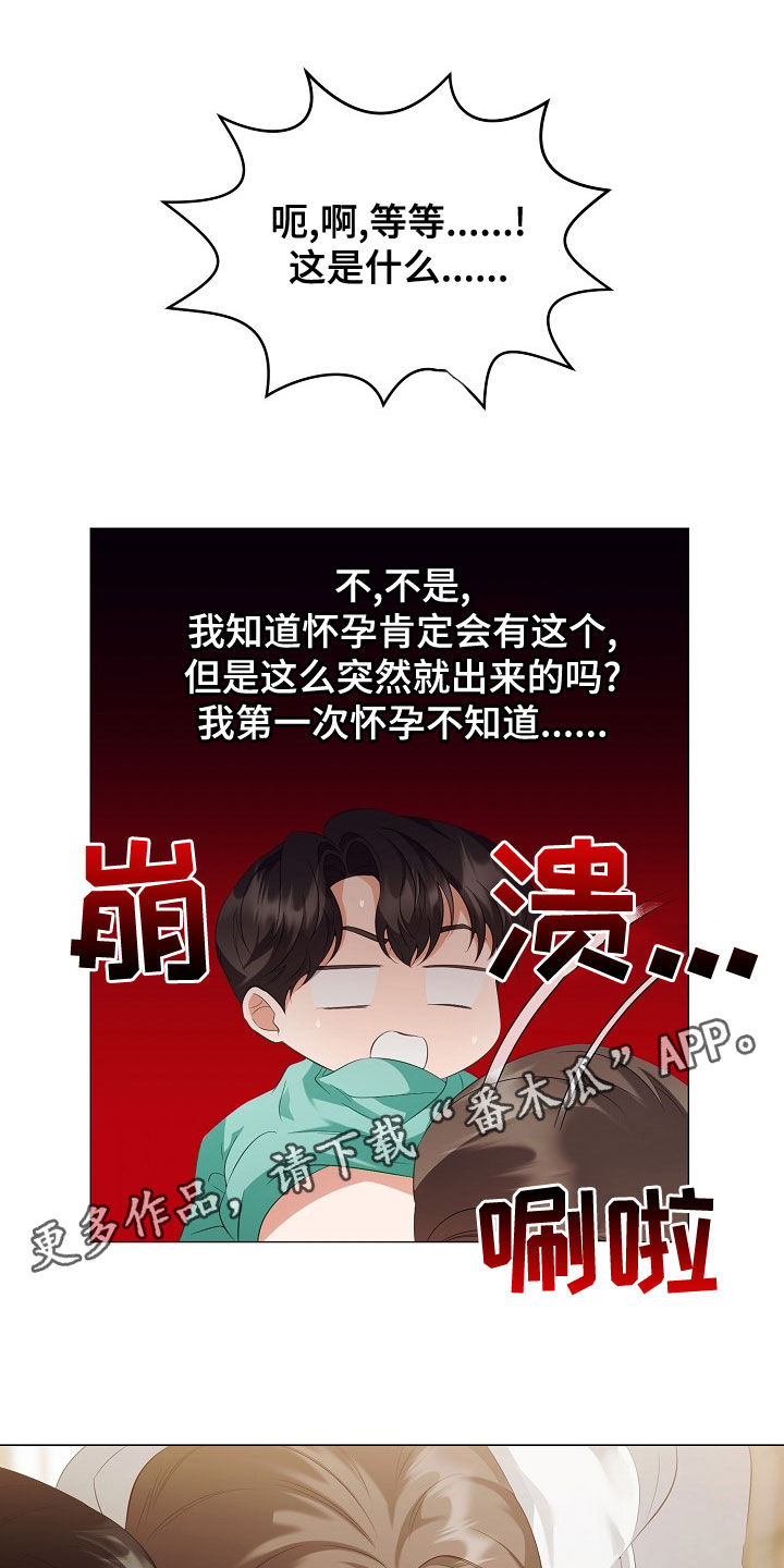 《完美契合》漫画最新章节第77章：手册免费下拉式在线观看章节第【17】张图片